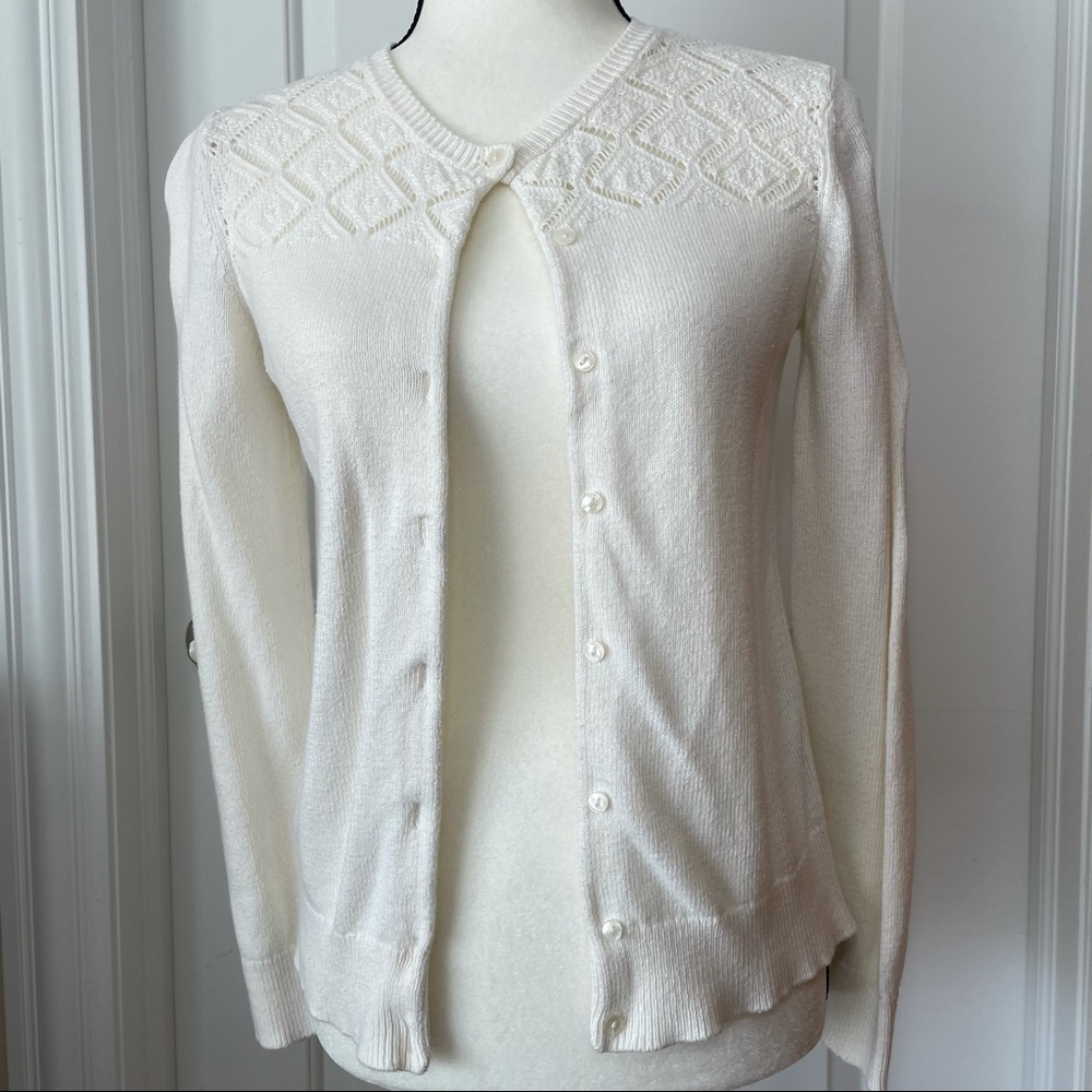 Ann Taylor Loft Sweater